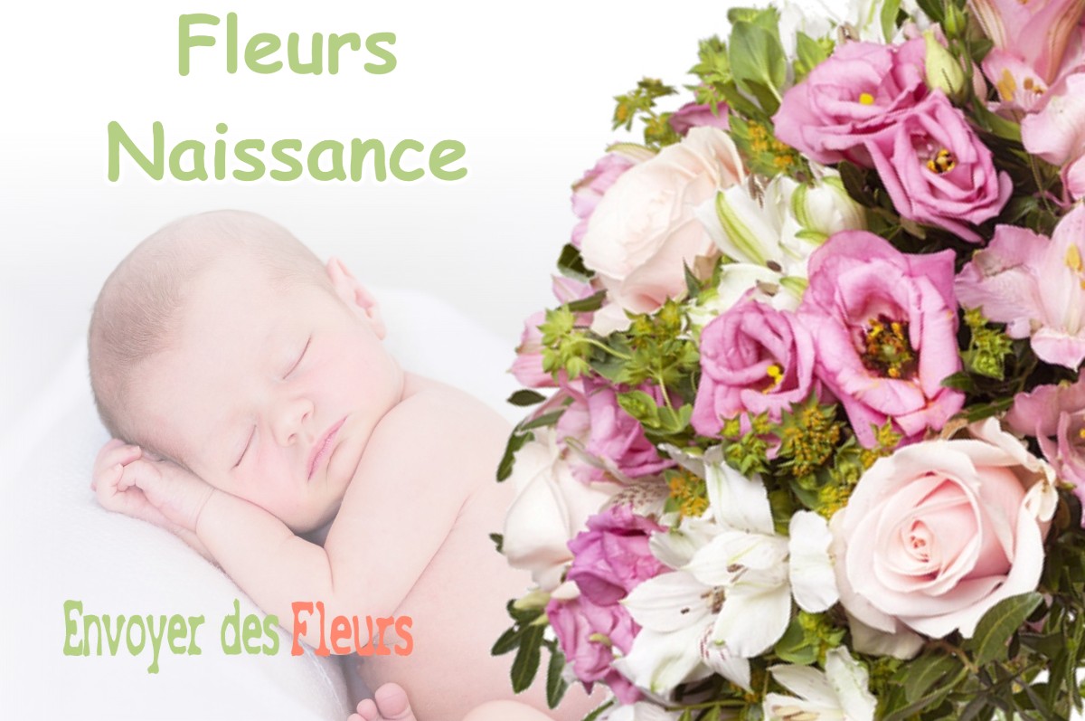 lIVRAISON FLEURS NAISSANCE à COURBETTE